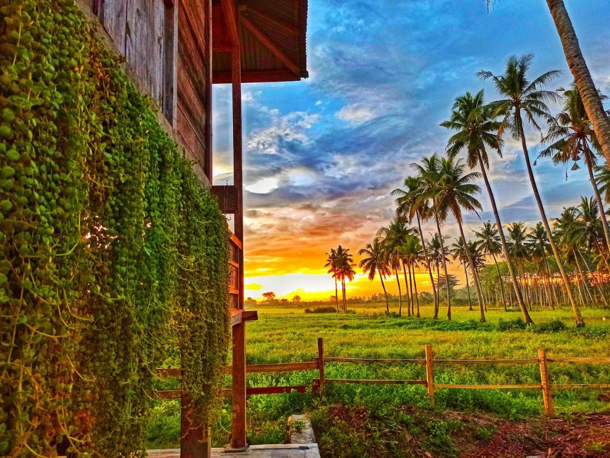 Sunset Homestay By Harry & Mimin Telaga Экстерьер фото